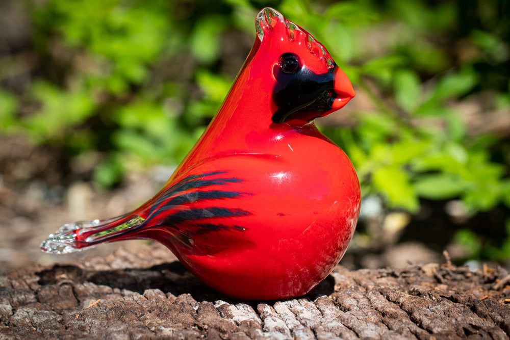 cardinal with ash
